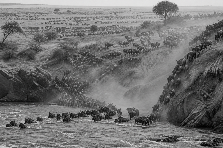 Crossing the River, by Adrian Demofoto, Gelatin silver print (black & white), 2025