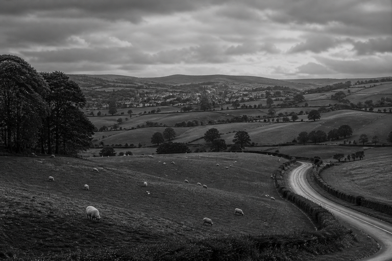 Pastoral Curve