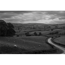 Pastoral Curve
