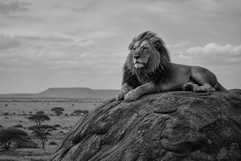 Stone Monarch